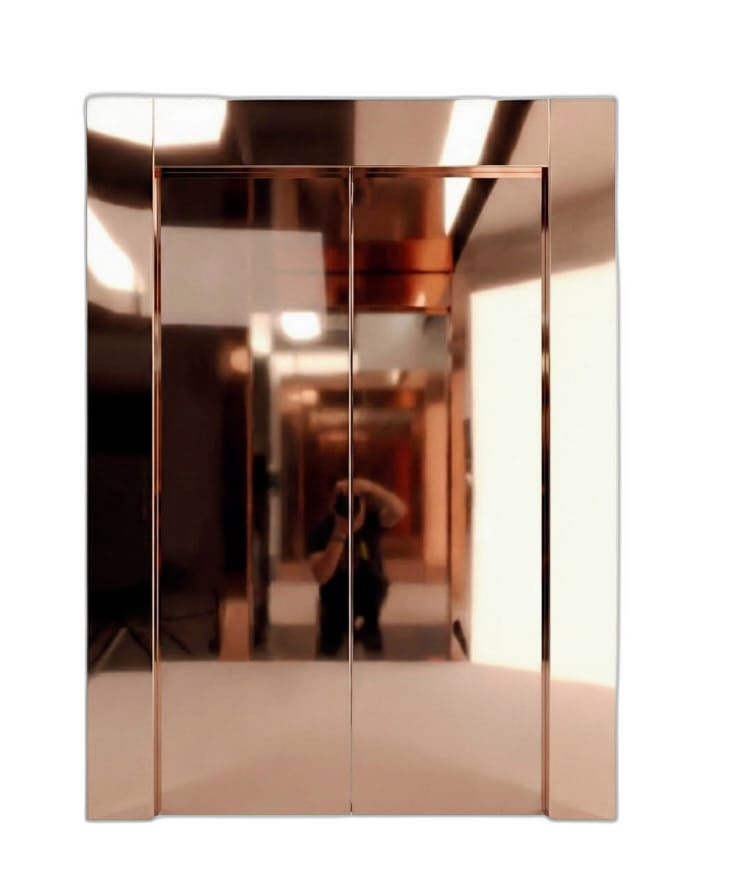 Rose Gold Mirror SS Door